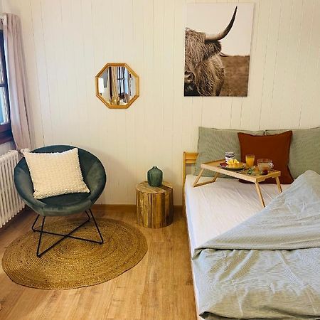Chalet Serpolet - Studio Leysin Extérieur photo