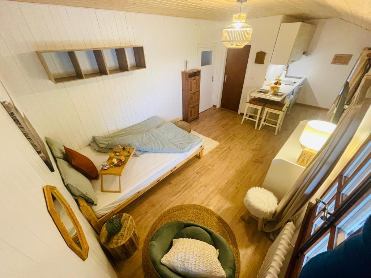 Chalet Serpolet - Studio Leysin Extérieur photo