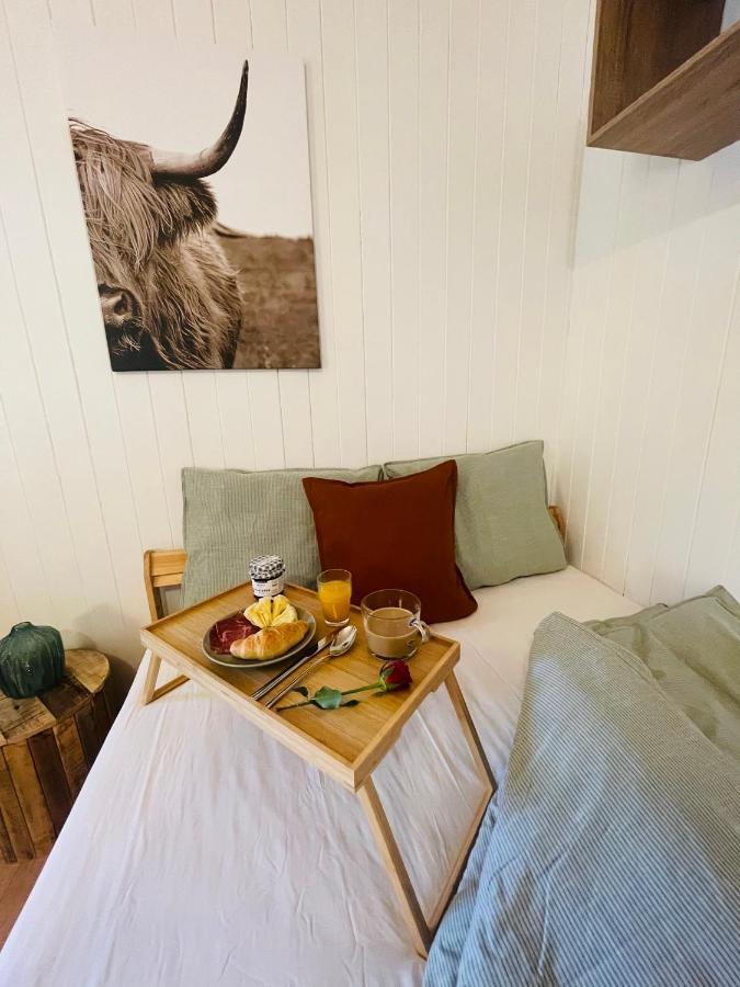 Chalet Serpolet - Studio Leysin Extérieur photo