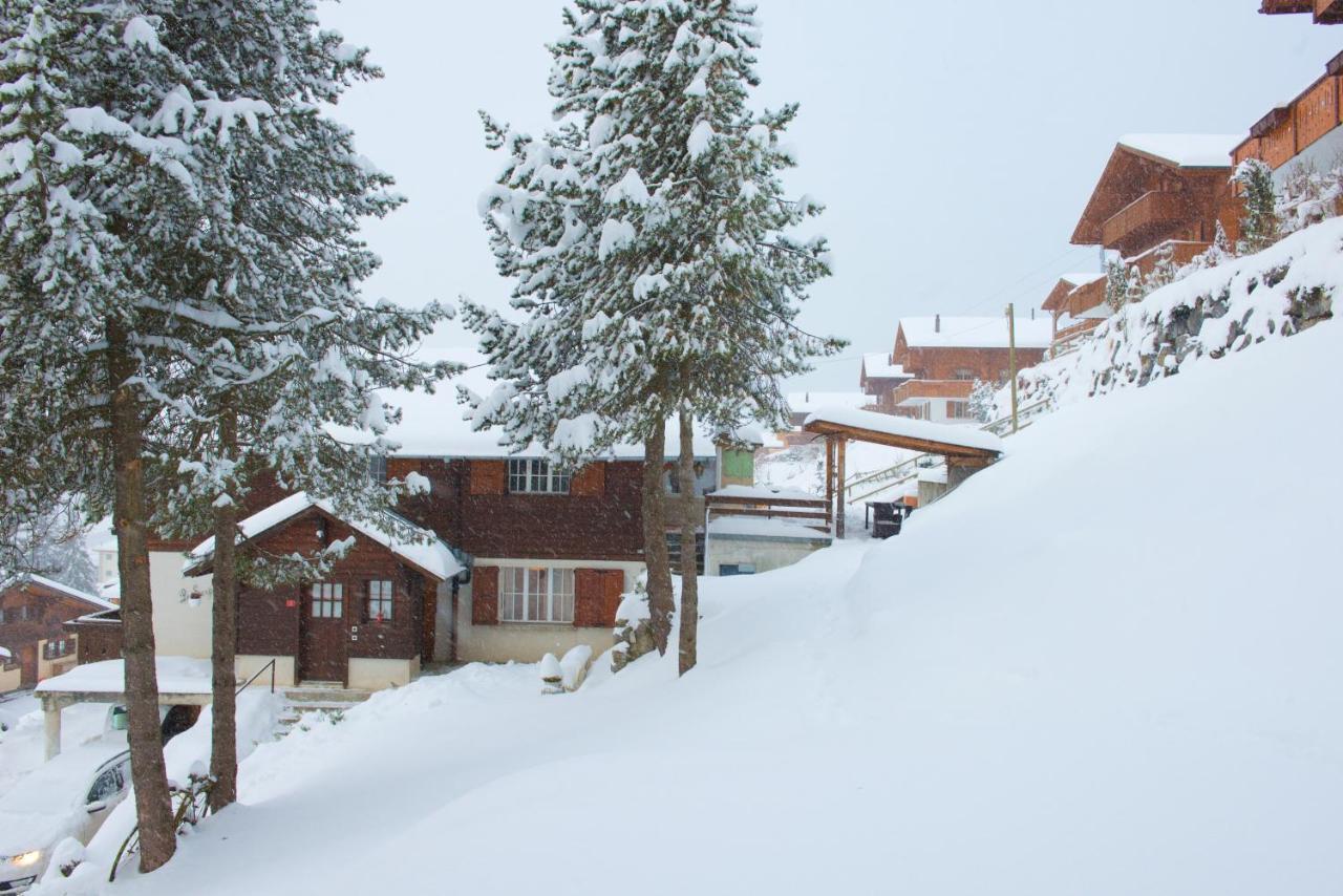 Chalet Serpolet - Studio Leysin Extérieur photo