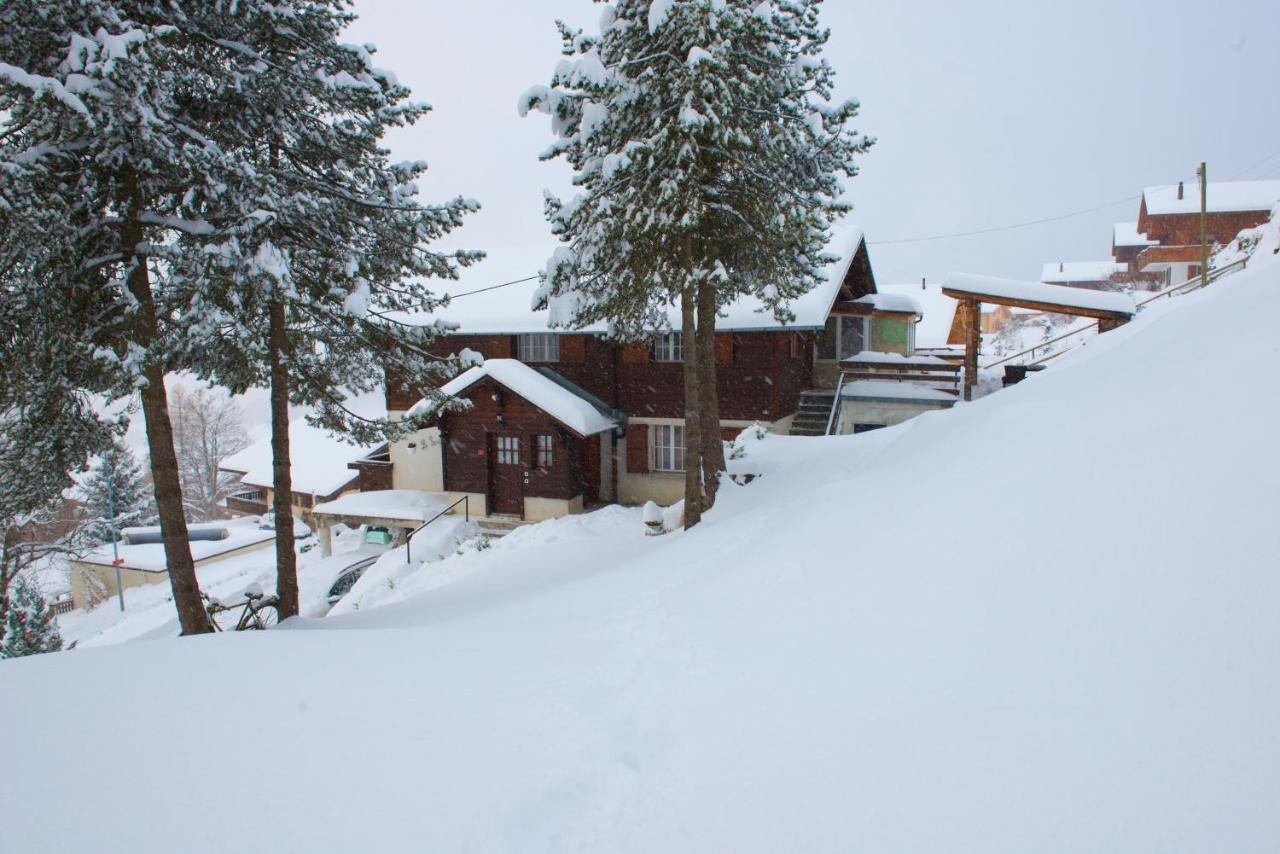 Appartement Chalet Serpolet - Studio à Leysin Extérieur photo